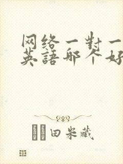 网络一对一辅导英语哪个好