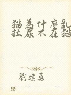 猫为什么乱拉屎拉尿不在猫砂盆里