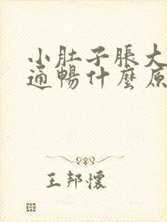 小肚子胀大便不通畅什么原因