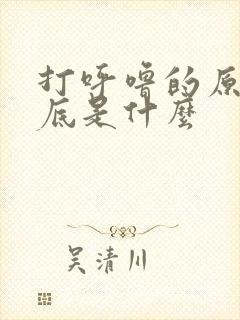 打呼噜的原因到底是什么