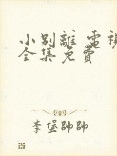 小别离 电视剧全集免费