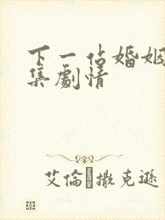 下一站婚姻 分集剧情