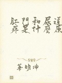 肛门和尿道之间疼是什么原因