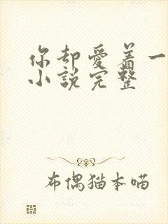 你却爱着一个他小说完整