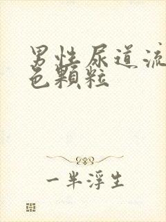 男性尿道流出白色颗粒