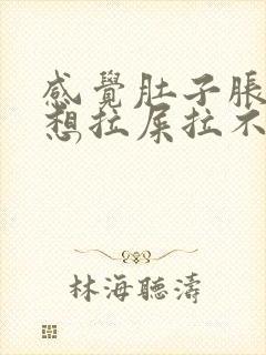 感觉肚子胀胀的想拉屎拉不出来