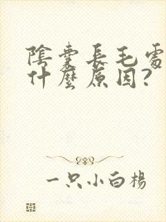 阴囊长毛处痒是什么原因?