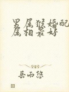 男属猴婚配哪个属相最好