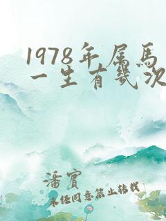1978年属马一生有几次婚姻
