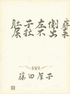 肚子左侧疼想拉屎拉不出来怎么回事