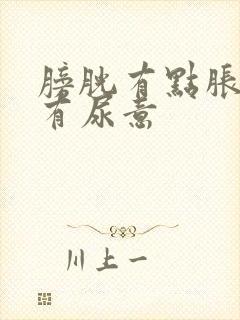 膀胱有点胀一直有尿意