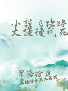 小说《攻略七个大佬后我死遁了》