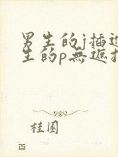 男生的j插进女生的p无遮挡