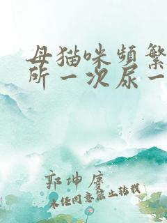 母猫咪频繁上厕所一次尿一点咋回事