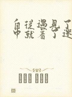 自从遇见了你心中就着了迷什么歌