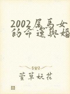 2002属马女的命运与婚姻