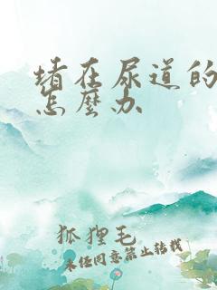 堵在尿道的结石怎么办