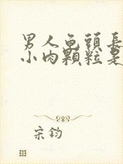 男人龟头长了个小肉颗粒是什么原因