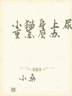 小猫身上尿骚味重怎么办