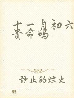 十一月初六是富贵命吗