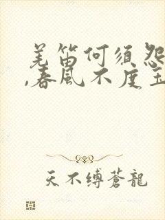 羌笛何须怨杨柳,春风不度玉门关翻译