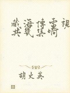 藏海传电视剧一共几集啊