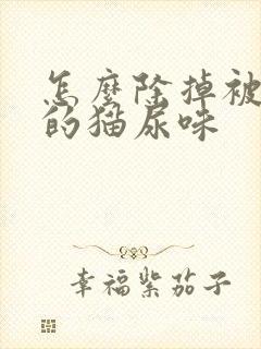 怎么除掉被子上的猫尿味