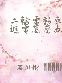 二轮电动车充不进电怎么办