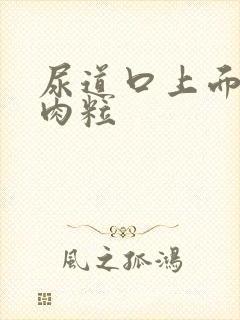 尿道口上面长小肉粒