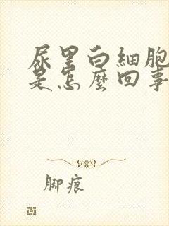 尿里白细胞70是怎么回事