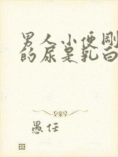 男人小便刚开始的尿是乳白色