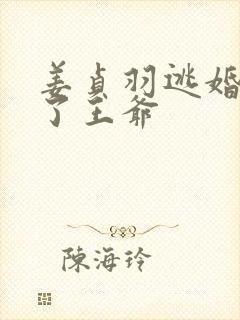 姜贞羽逃婚嫁给了王爷