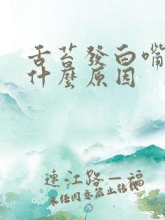 舌苔发白嘴苦是什么原因