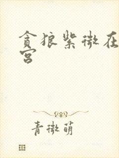 贪狼紫微在官禄宫