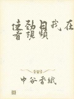 使劲日我在线观看视频