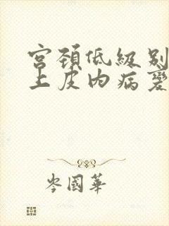 宫颈低级别鳞状上皮内病变是什么意思啊