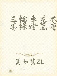 三轮车充不上电亮绿灯怎么回事