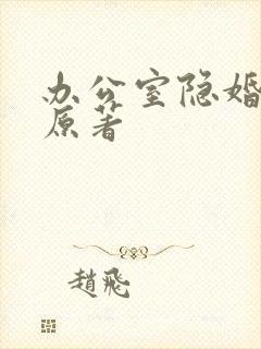 办公室隐婚小说原著