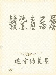 膀胱炎己尿不出该怎么治疗