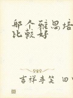 哪个雅思培训班比较好