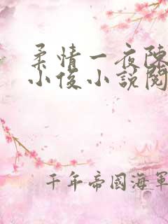 柔情一夜陈蕊王小俊小说阅读