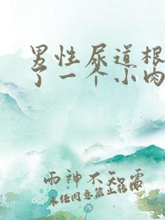 男性尿道根部长了一个小肉粒