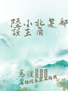 陆小北是哪部小说主角