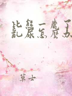 比熊一岁了总是乱尿怎么办