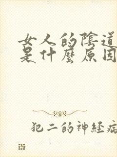 女人的阴道口痒是什么原因