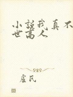 小说我真不是隐世高人