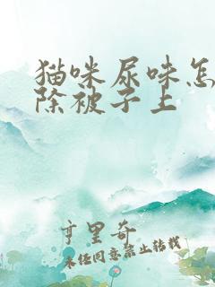 猫咪尿味怎么去除被子上