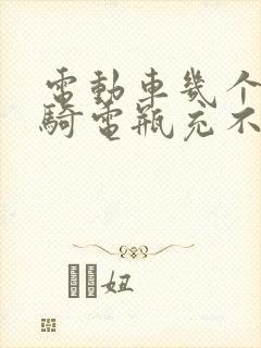 电动车几个月没骑电瓶充不进电怎么办