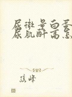 尿微量白蛋白和尿肌酐高怎么治疗