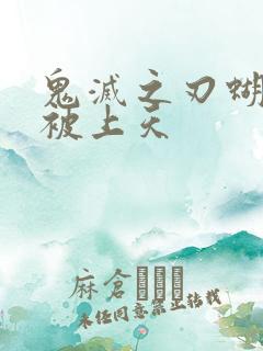 鬼灭之刃蝴蝶忍被上天